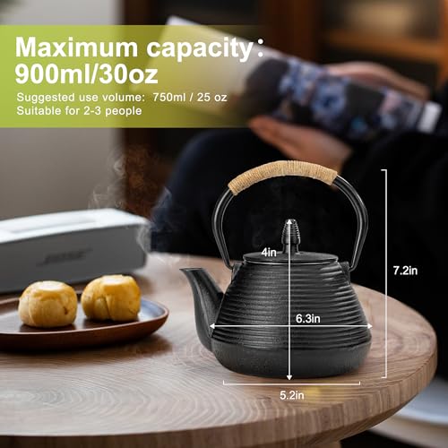 Japanese Tetsubin Tea Kettle Cast Iron Teapot with Stainless Steel Infuser 30 oz