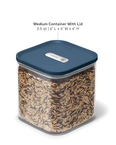 2.5 qt Glass Airtight Food Storage Container with Lid