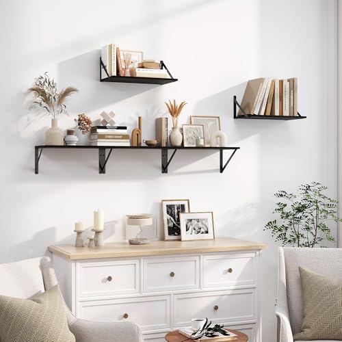 Black Deep Floating Shelves for Wall
