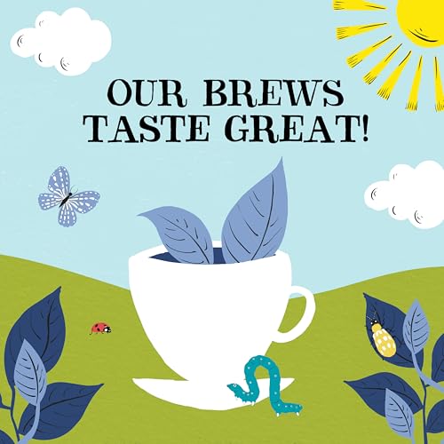 Clipper Organic Everyday Decaf Tea (250 Count)
