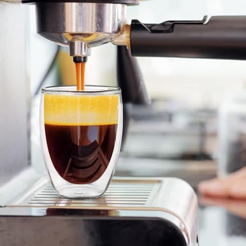 6.8OZ Double Wall Espresso Cups Set of 4 (4 Count)