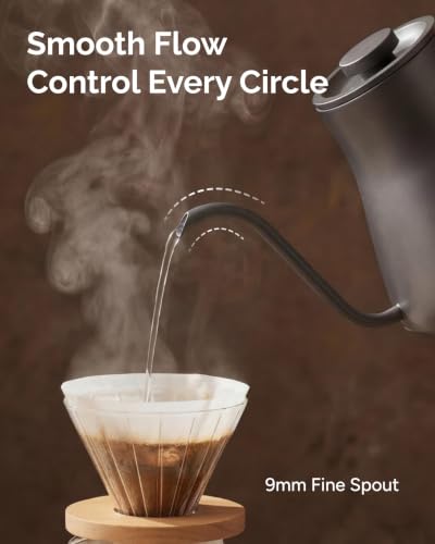 Electric Kettle