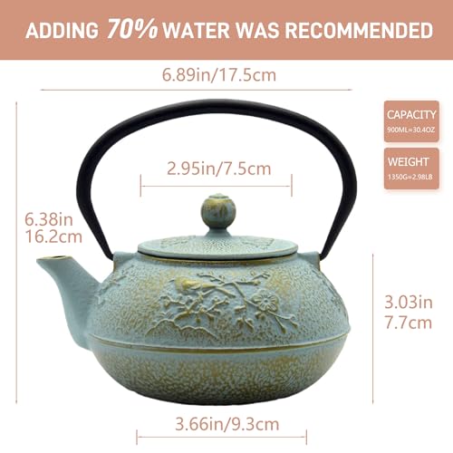30.4oz Small Cast Iron Tea Kettle