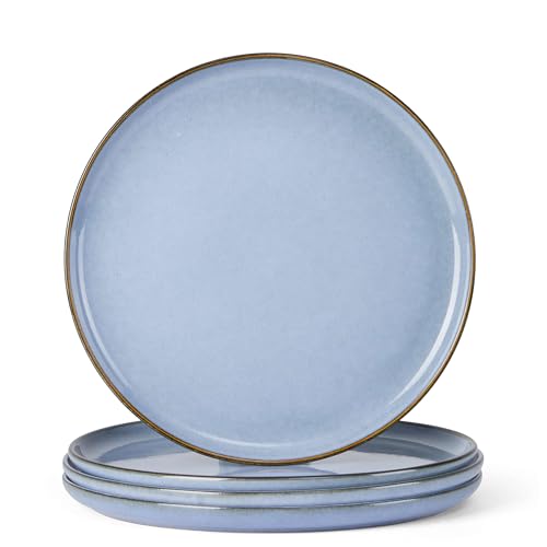 4 Piece Stoneware Dinner Plates Set