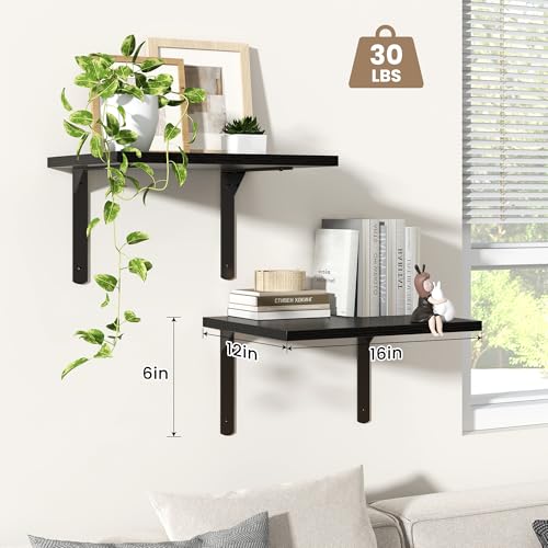 Floating Shelves for Wall (2 Count)
