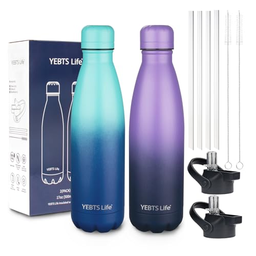 Insulated Water Bottle (2 Count)