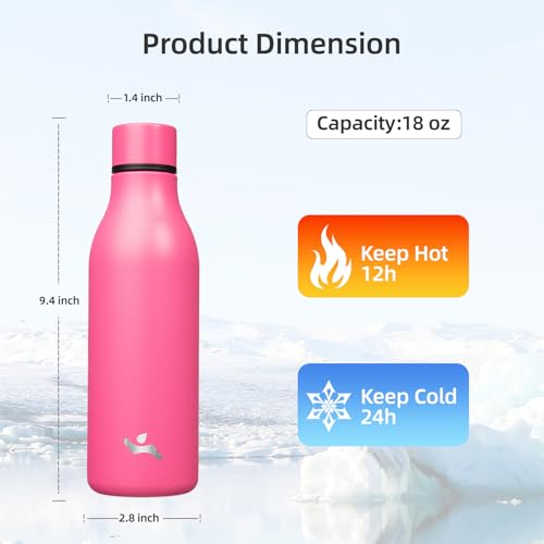 18 oz Insulated Stainless Steel Metal Water Bottle with Strap