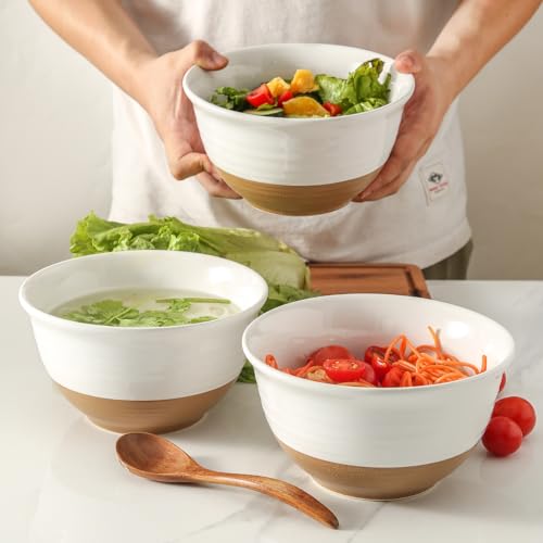 Large Ceramic Soup Bowls Set of 4 (4 Count)