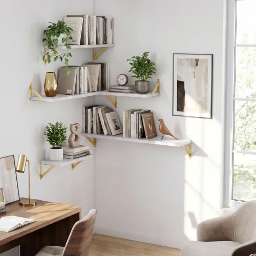 Wall Mounted Floating Shelves Set of 2
