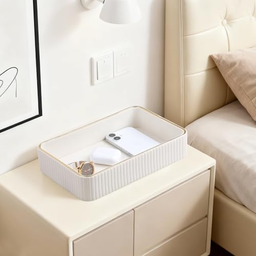 Desk Organizer Tray