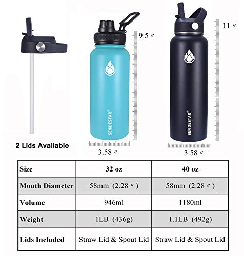 Stainless Steel Water Bottle