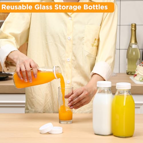 10 Pack 16 oz Glass Milk Bottles with Lids (10 Count)
