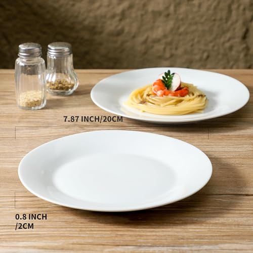 4 Piece Salad Plates Set (4 Count)