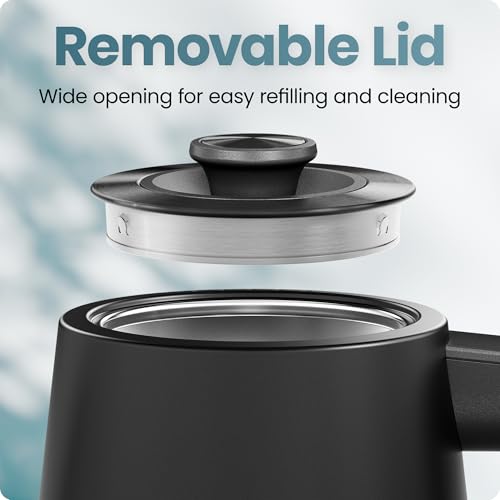 Gooseneck Electric Kettle