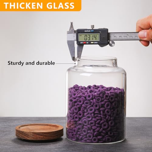 Large Glass Jar with Lid Set of 2