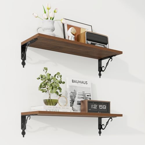 Floating Shelves for Wall Decor (2 Count)