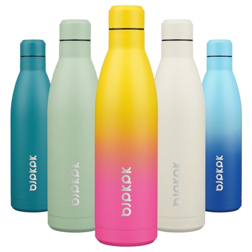 25 oz Insulated Stainless Steel Water Bottle