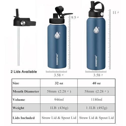 Insulated Water Bottle 32 oz with Straw