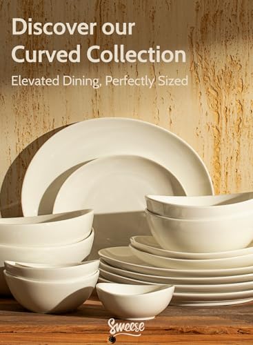 Porcelain 11 Inch Dinner Plates Set of 6 (6 Count)