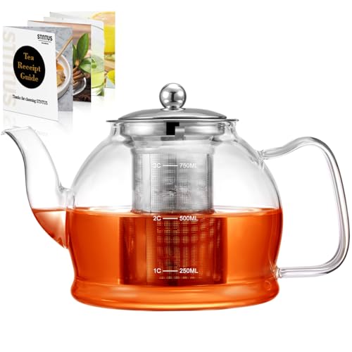 STNTUS Glass Teapot With Infuser