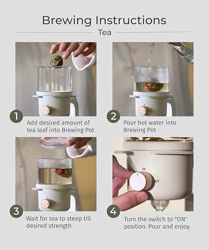Glass Tea Pot with Infusers for Loose Tea and Drip Coffee Pour Over