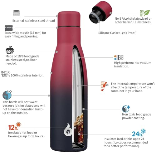 17 oz Insulated Thermal Metal Water Bottle
