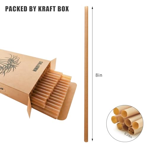 600pcs Sugarcane Straws Disposable 8 Inch Plasticless Sturdy Smoothie Straws Not Foggy Compatible with All Lid Types (200 Count)