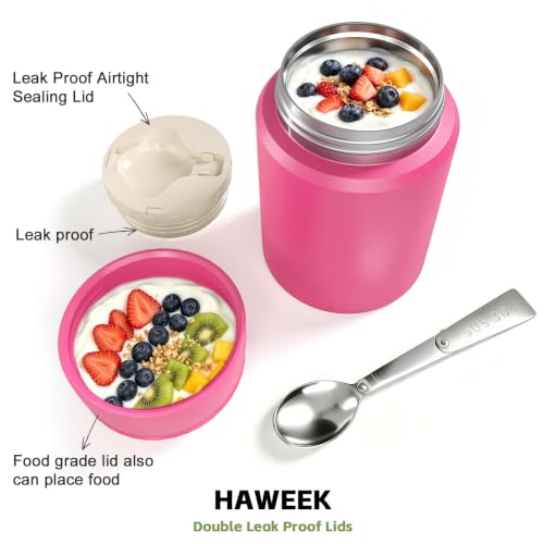 16oz Insulated Food Jar with Spoon