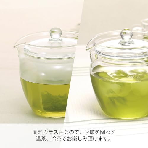 ChaCha "Natsume" Tea Pot