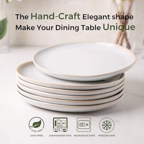 Ceramic Plates Set of 6 (6 Count)