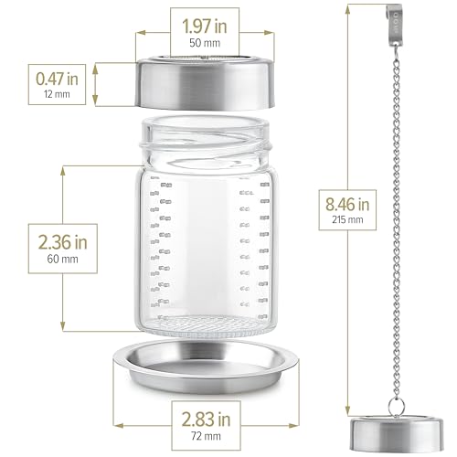 Elegant Glass Tea Infuser