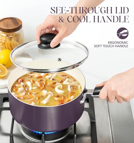 Nonstick Sauce Pan with Lid (3 Count)