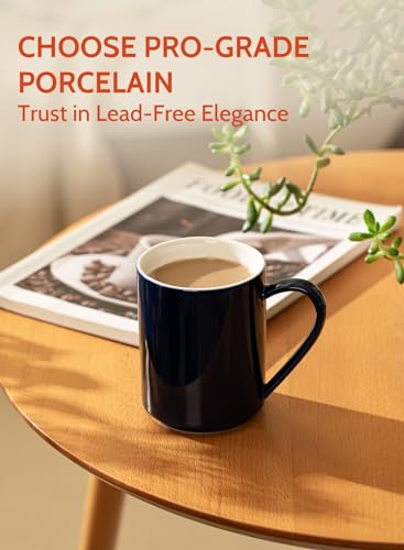 Coffee Mug Porcelain 11 Oz Coffee Mugs Set of 6 (6 Count)