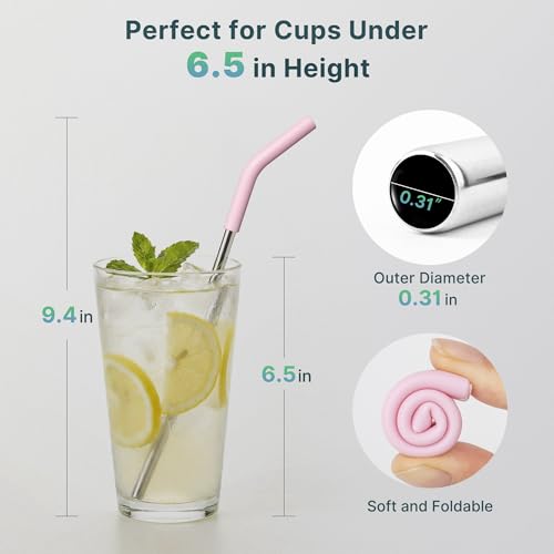 6.7" Short Metal Straw