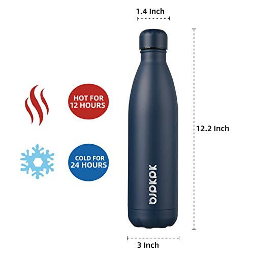 25 oz Insulated Water Bottle