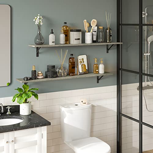 Long Wall Shelves (2 Count)