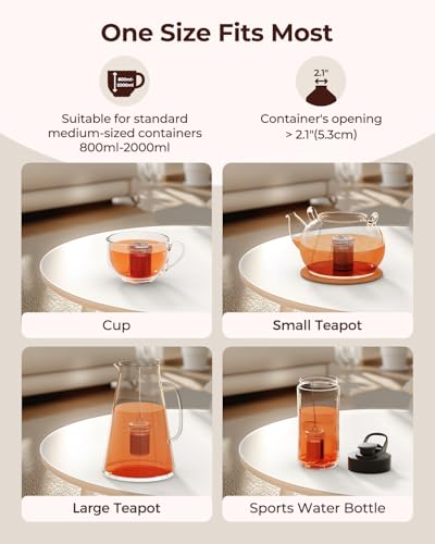 2 Pack Reinmoson Large Tea Infuser for Loose Tea & Spice Ball for Cooking (2 Count)