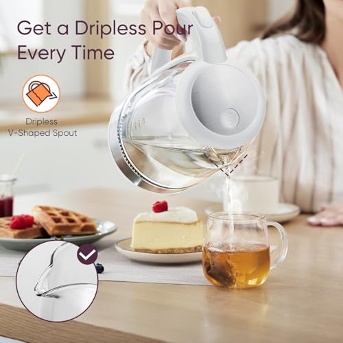 Electric Kettle