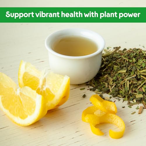 Organic Keep Fit Green Tea with Yerba Mate and Matcha for Metabolic Support (15 Count)