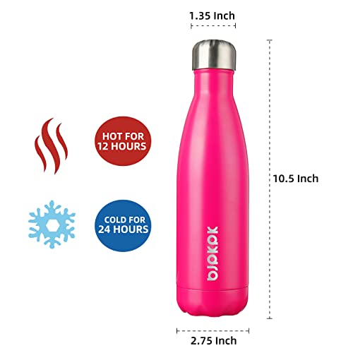 17 oz Insulated Water Bottle