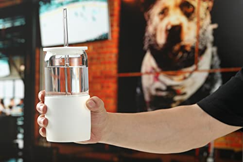 Glass Tumbler with Straw and Lid