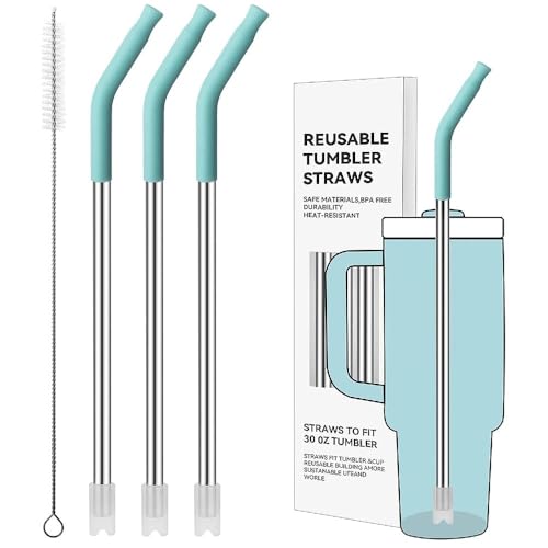 Straight Metal Straws for Stanley 30oz