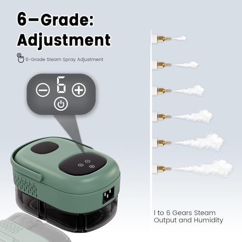 Steam Cleaner