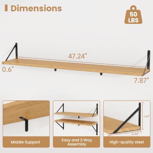 Floating Book Shelves for Wall (3 Count)
