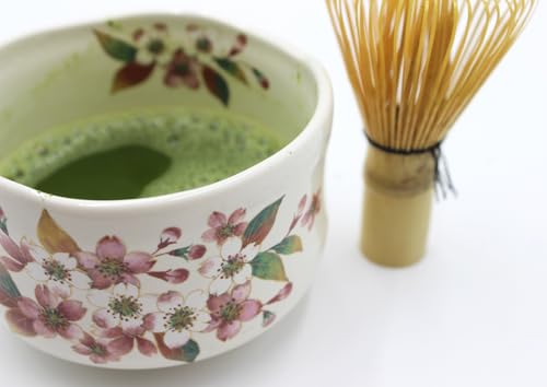 Japanese Traditional Handcrafted Matcha Chawan Tea Bowl Cup Set of 5 Ceremony Tableware Pottery
