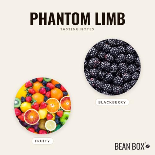 Phantom Limb Roasted by Huckleberry Roasters (80 Ounce)