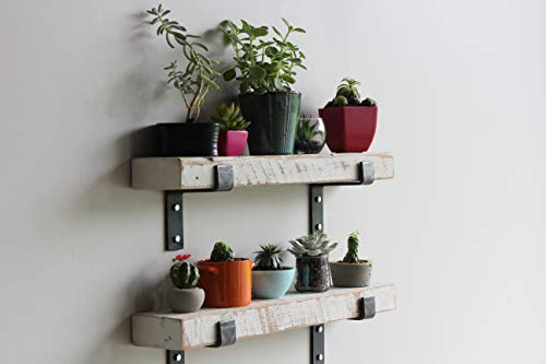 Accent Shelves (2 Count)