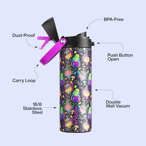 Insulated Water Bottle with Straw