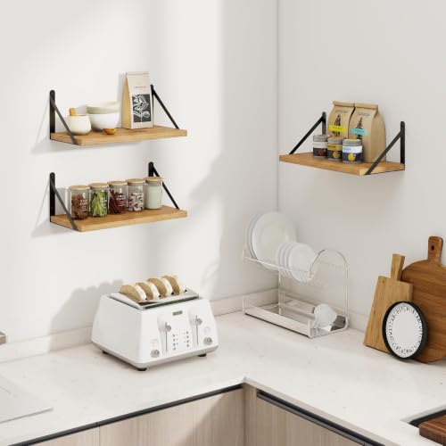 Floating Book Shelves for Wall (3 Count)