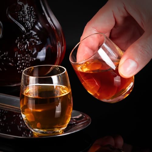 Shot Glasses Set of 2 (2 Count)